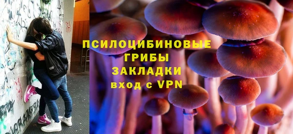 spice Няндома