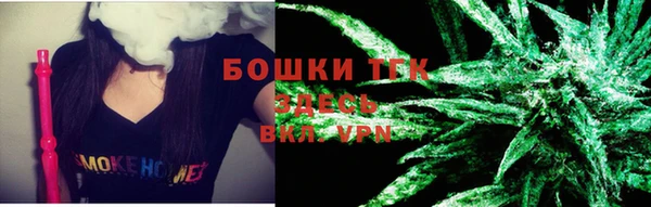 spice Няндома