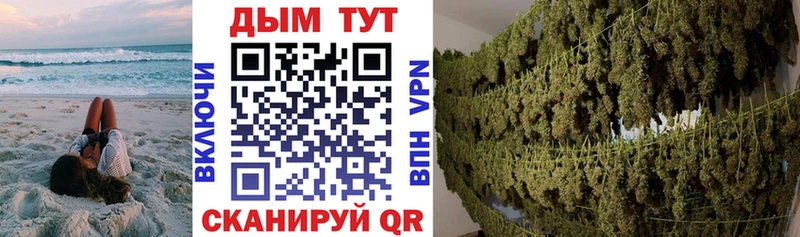 Марихуана планчик  Полярные Зори 